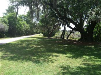 Cliff Stephens image